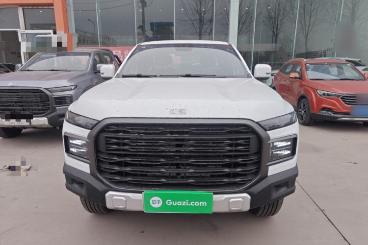 Used RELY Venucia R08 2025 Model 2.3T 6MT 2WD Diesel Long Box Exclusive Edition Front