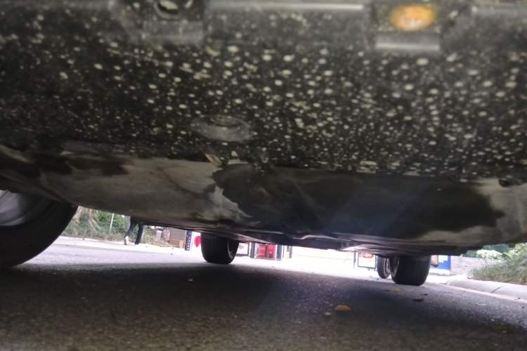 Used Renault Clio 2019 TCe270 Automatic Prestige Model Chassis Front
