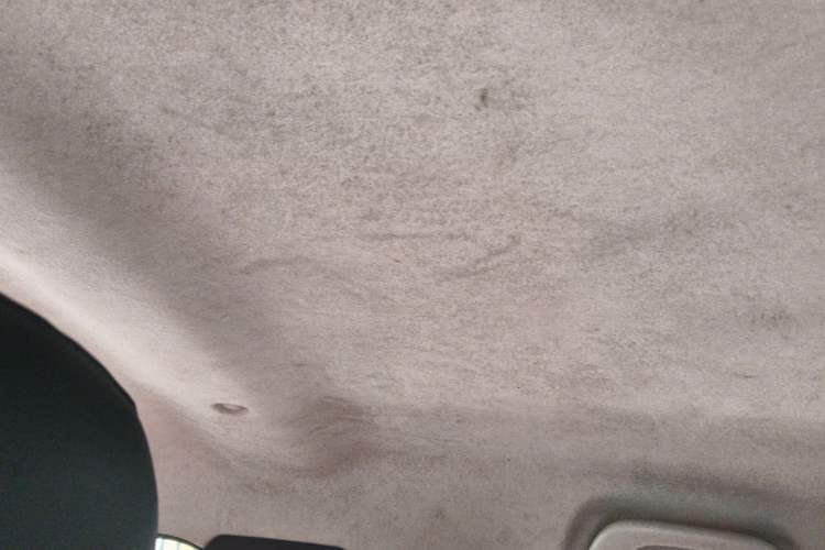 Used Renault E-Nuo 2019 e-Intelligent Model Headliner
