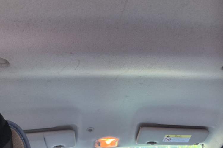 Used Renault E-Nuo 2019 e-Smart Model Headliner