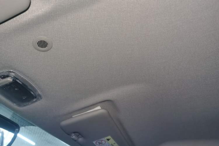 Used Renault E-Nuo 2019 e-Smart Model Headliner