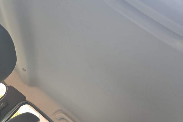 Used Renault E-Nuo 2019 e-Smart Model Headliner
