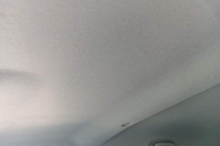 Used Renault E-Nuo 2019 e-Smart Model Headliner
