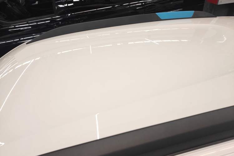 Used Renault E-Nuo 2019 e-Intelligent Model Roof