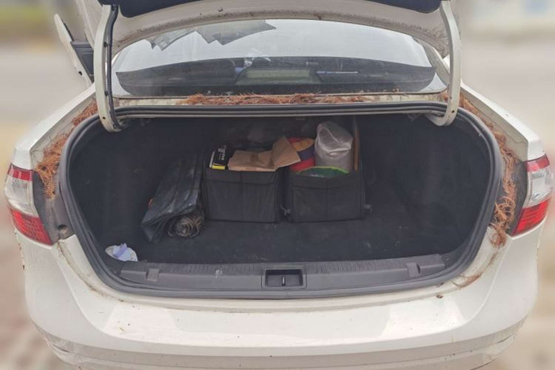 Used Renault Fluence 2011 2.0L Fashion Edition Trunk
