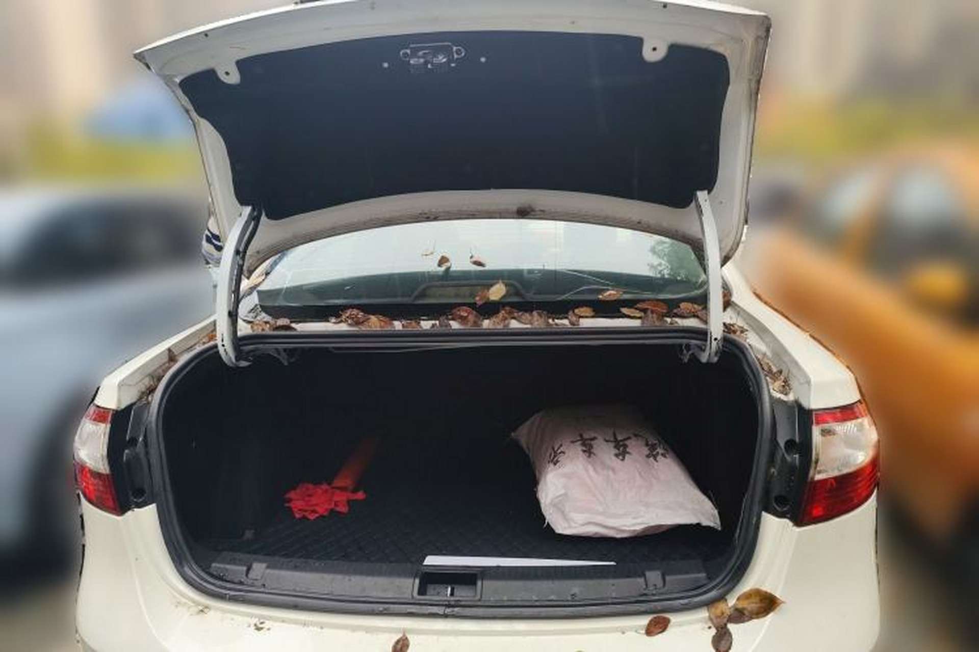 Used Renault Fluence 2013 2.0L Fashion Edition Trunk