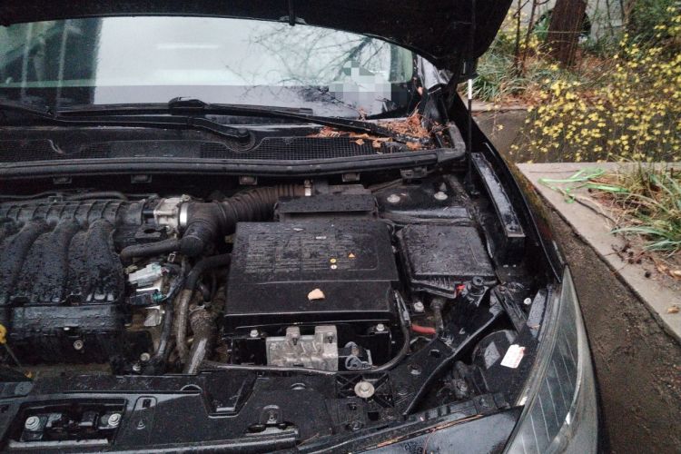 Used Renault Fluence 2015 2.0L Standard Edition Engine Bay Left
