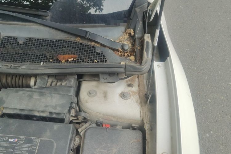 Used Renault Fluence 2015 2.0L Standard Edition Engine Bay Left