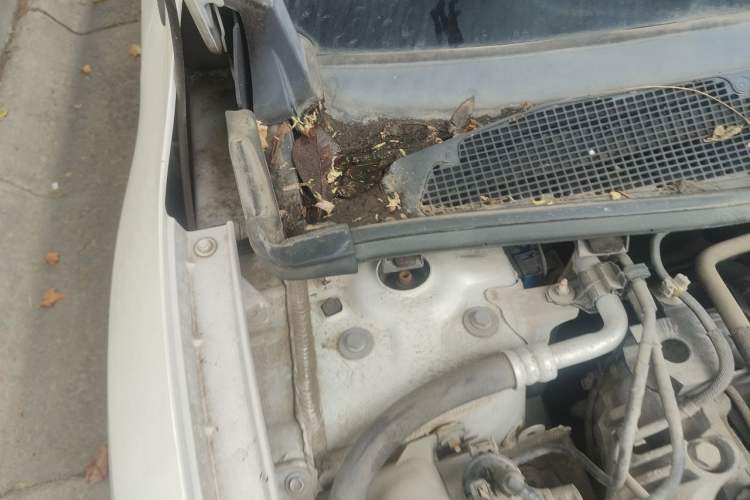 Used Renault Fluence 2015 2.0L Standard Edition Engine Bay Right