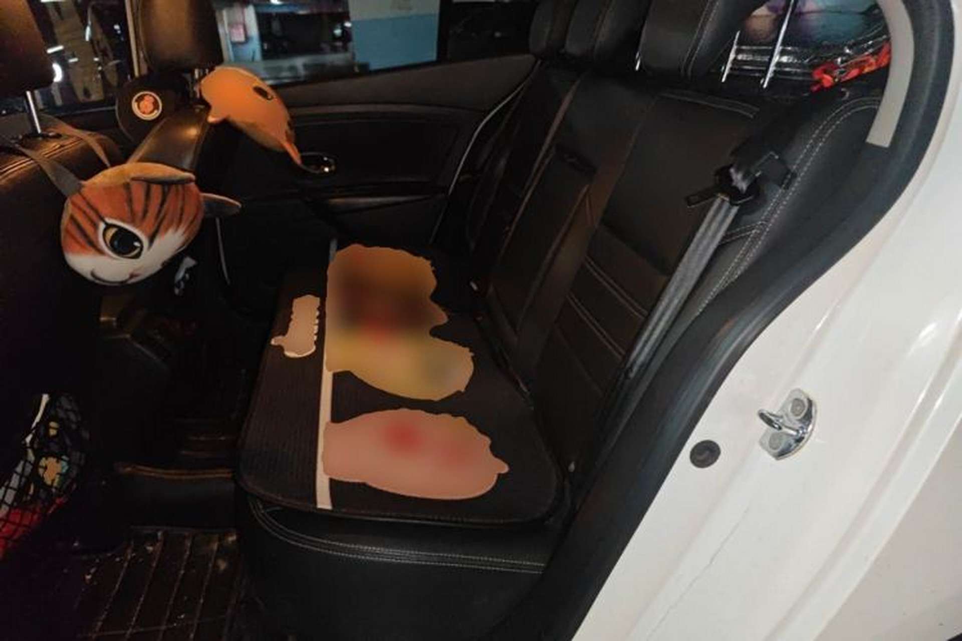 Used Renault Fluence 2015 2.0L Fashion Edition Left Rear Seat