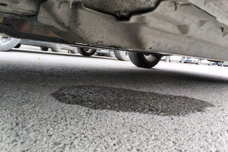 Used Renault Kadjar 2016 2.0L Two-Wheel Drive Leading Edition Chassis Front Left