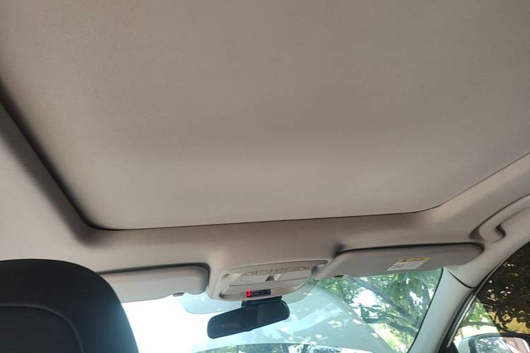 Used Renault Kadjar 2016 2.0L Two-Wheel Drive Leading Edition Headliner