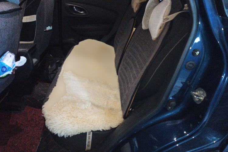 Used Renault Kadjar 2017 2.0L Two-Wheel Drive Fashion Edition Left Rear Seat