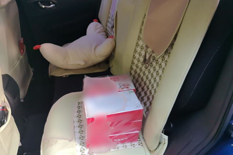 Used Renault Kadjar 2017 2.0L Two-Wheel Drive Fashion Edition Left Rear Seat