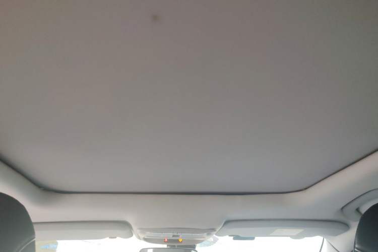 Used Renault Kadjar 2017 2.0L Two-Wheel-Drive Leading Edition Headliner