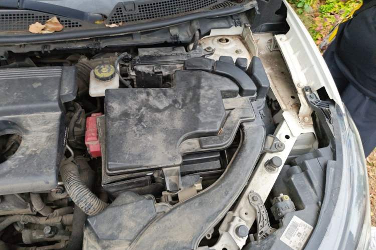 Used Renault Kadjar 2017 2.0L Two-Wheel-Drive Leading Edition Engine Bay Left
