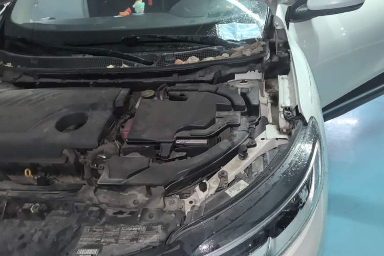 Used Renault Kadjar 2017 2.0L Two-Wheel-Drive Leading Edition Engine Bay Left