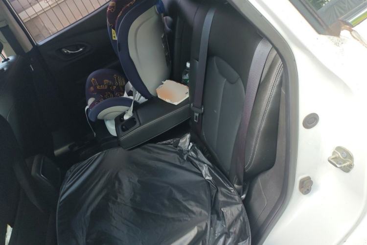 Used Renault Kadjar 2017 2.0L Two-Wheel-Drive Leading Edition Left Rear Seat