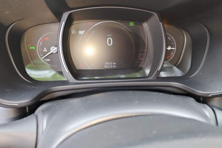 Used Renault Kadjar 2017 2.0L Four-Wheel Drive Premium Edition Odometer Close Up