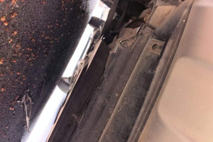 Used Renault Koleos 2009 2.5L Two-Wheel Drive Comfort Version Chassis Front Right
