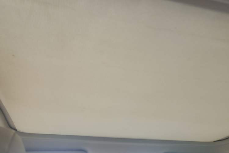 Used Renault Koleos 2010 2.5L 4x4 Comfort Edition Headliner