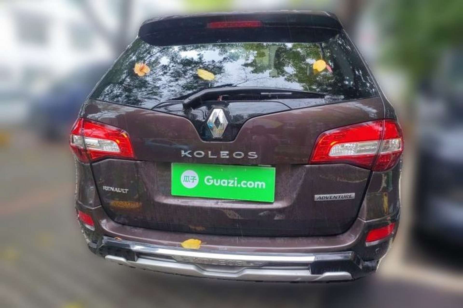 Used Renault Koleos 2013 2.5L Two-Wheel Drive Comfort Edition Rear