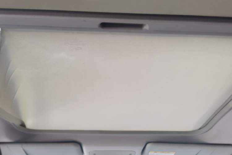 Used Renault Koleos  Headliner