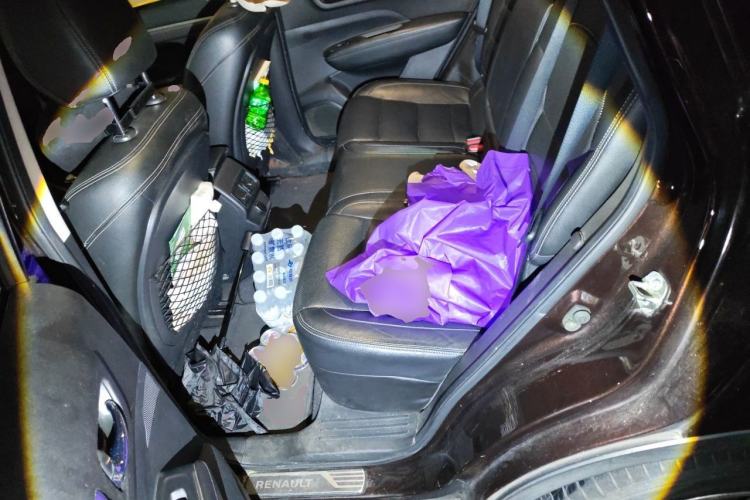 Used Renault Koleos 2017 2.0L Two-Wheel Drive Luxury Edition Left Rear Seat