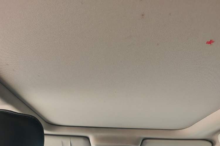 Used Renault Koleos 2017 2.0L Two-Wheel Drive Luxury Edition Headliner