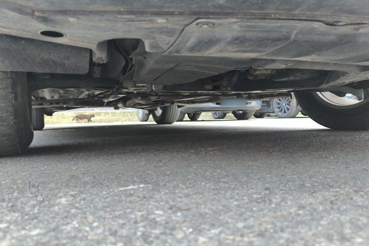 Used Renault Koleos 2018 2.0L Two-Wheel Drive Comfort Edition Chassis Front Right