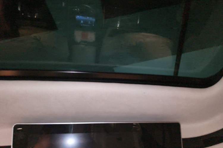 Used Rhine Traveler 2022 2.0T S-Class Fragrance Edition Headliner