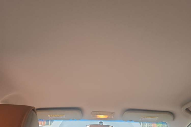 Used Riich G3 2012 1.6L Manual Comfort Model Headliner