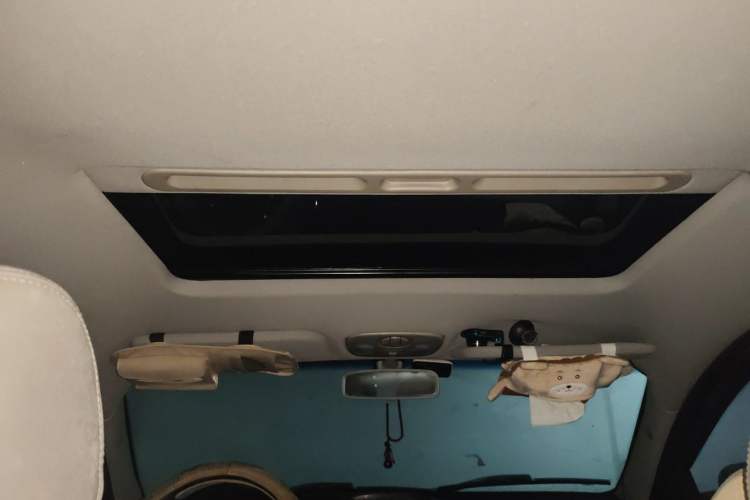 Used Riich G5 2010 Messi Edition 2.0T Manual Comfort Version Headliner