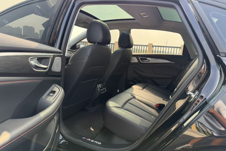 Used Rising ER6 2021 New Dynamic Edition 520km Smart Leading Version Interior 3