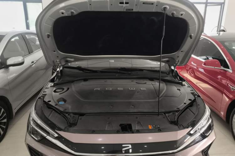 Used Rising ER6 2020 620 km Smart Edition Engine Bay