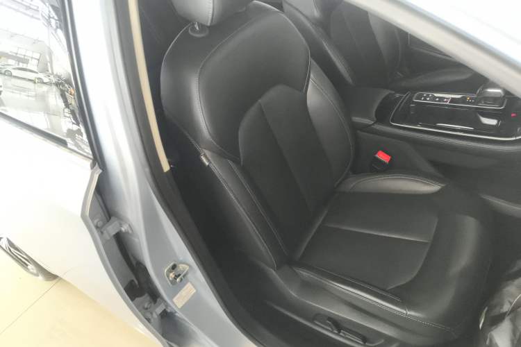 Used Rising ER6 2021 New Dynamic Edition 620km Smart Enjoyment Version Right Front Seat