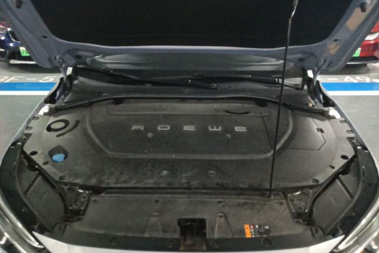 Used Rising ER6 2020 620 km Smart Edition Engine Bay