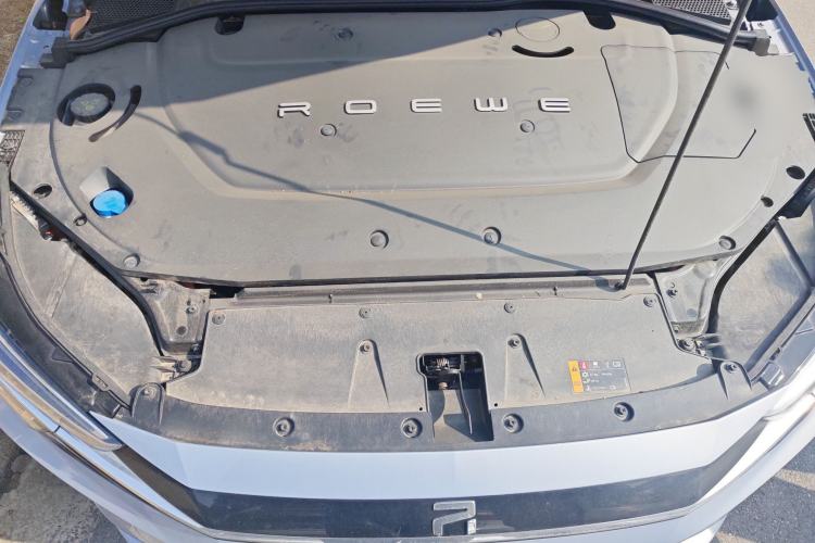 Used Rising ER6 2020 620 km Smart Edition Engine Bay