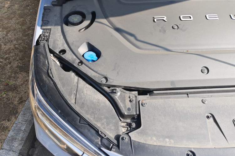 Used Rising ER6 2020 620 km Smart Edition Engine Bay Right
