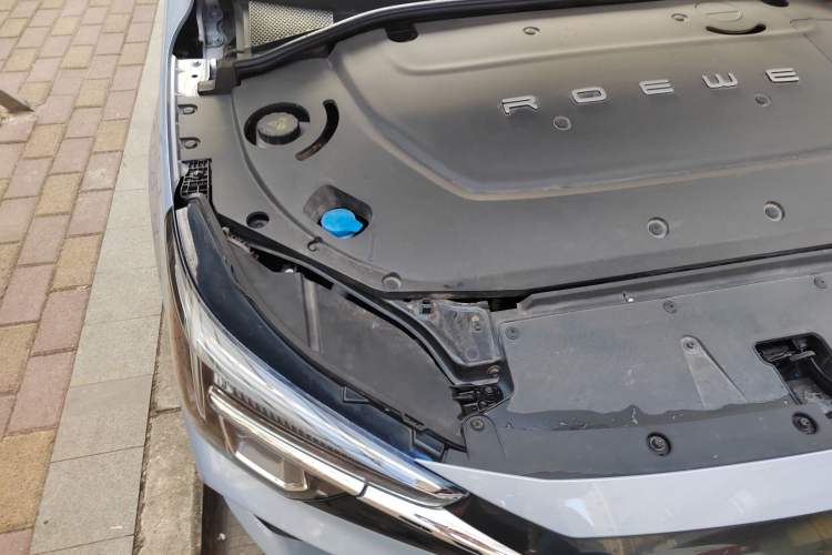 Used Rising ER6 2020 620 km Smart Drive Version Engine Bay Right