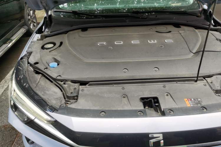Used Rising ER6 2020 620 km Smart Drive Version Engine Bay Right