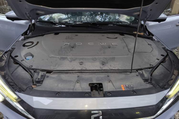 Used Rising ER6 2020 620 km Smart Edition Engine Bay