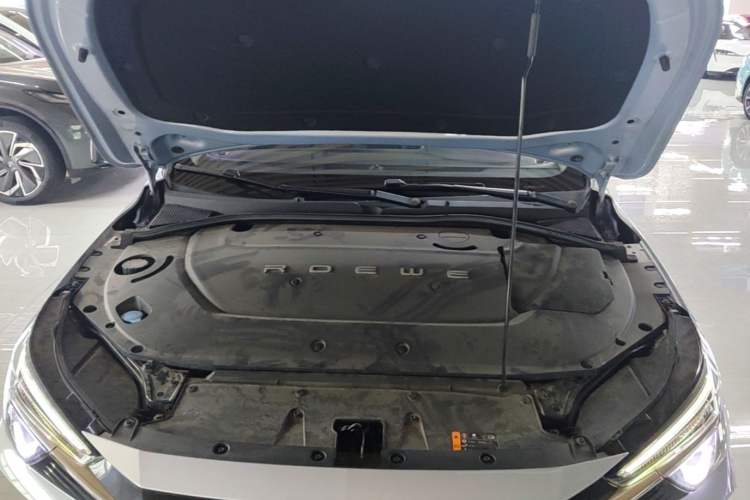 Used Rising ER6 2020 620 km Smart Edition Engine Bay