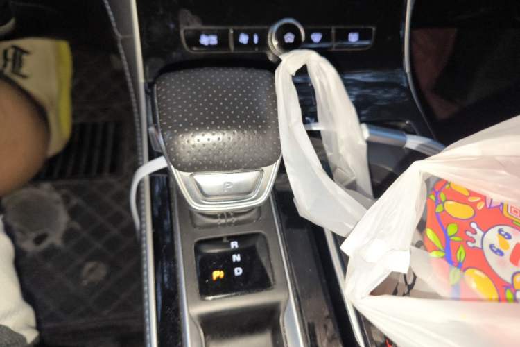 Used Rising ER6 2020 620 km Smart Edition Gear Lever