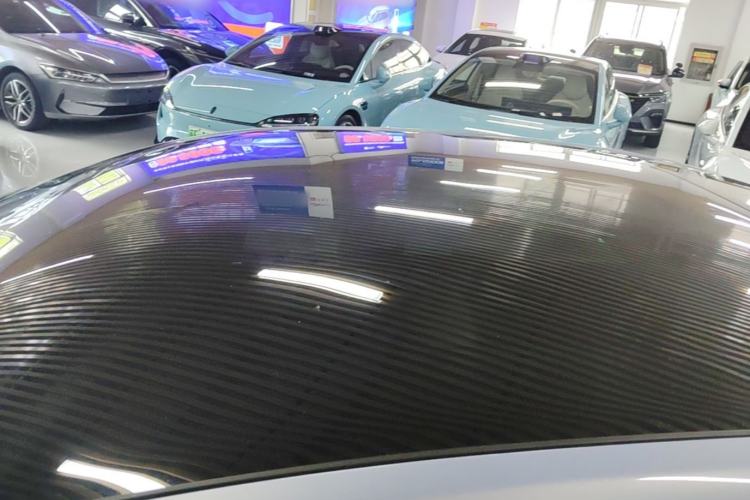 Used Rising ER6 2020 620 km Smart Edition Roof