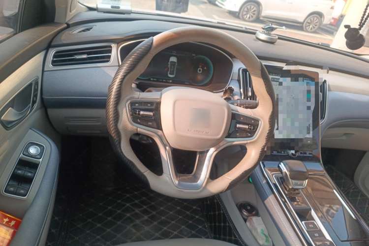 Used Rising ER6 2020 620 km Smart Edition Steering Wheel