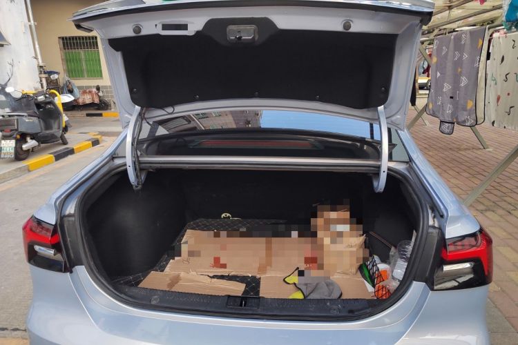 Used Rising ER6 2020 620 km Smart Drive Version Trunk