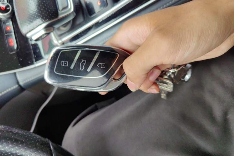 Used Rising ER6 2020 620 km Smart Edition Vehicle Key