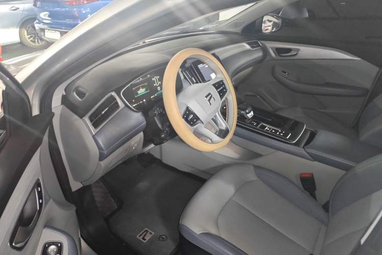 Used Rising ER6 2020 620 km Smart Drive Version Driver Seat
