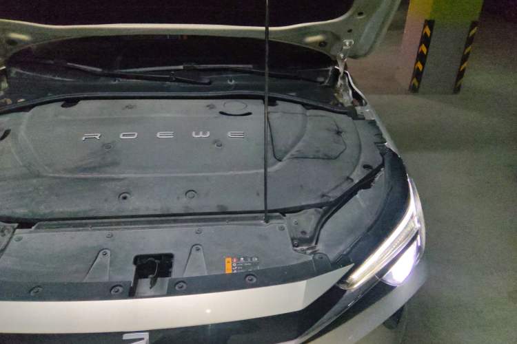 Used Rising ER6 2020 620 km Smart Drive Version Engine Bay Left